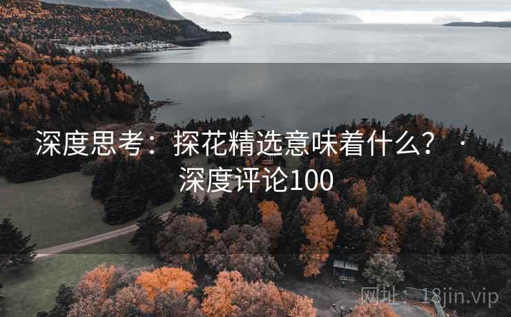 深度思考：探花精选意味着什么？ · 深度评论100