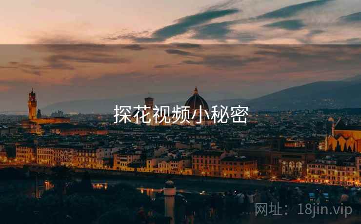 探花视频小秘密