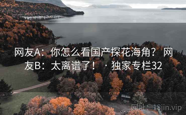 网友A：你怎么看国产探花海角？ 网友B：太离谱了！ · 独家专栏32