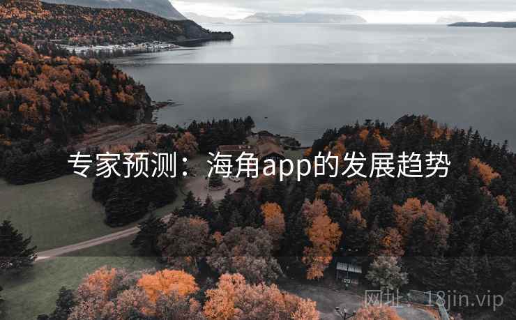 专家预测：海角app的发展趋势